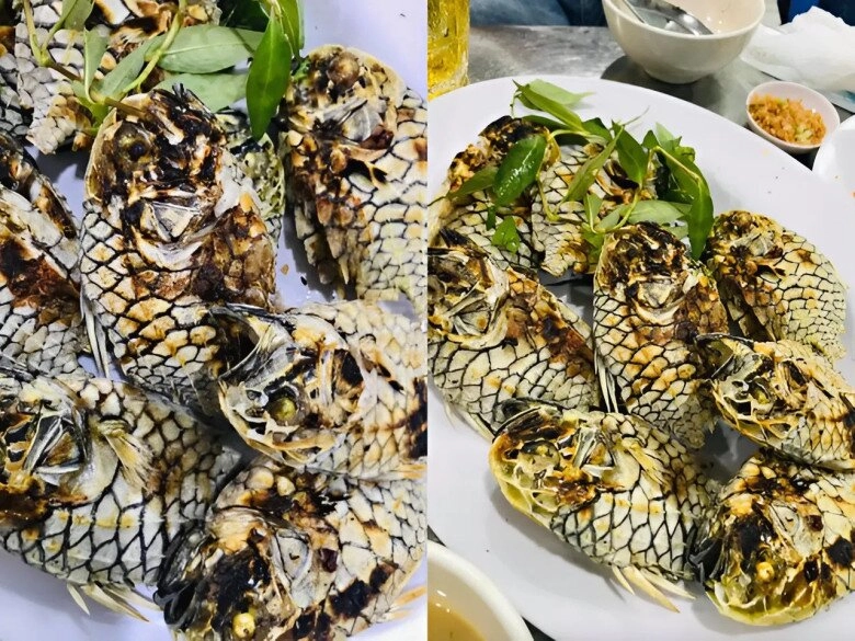 Loài cá có tên của một loại trái cây xưa không ai ăn giờ là đặc sản được săn lùng giá mắc đến mấy vẫn có nhiều người mua - 3