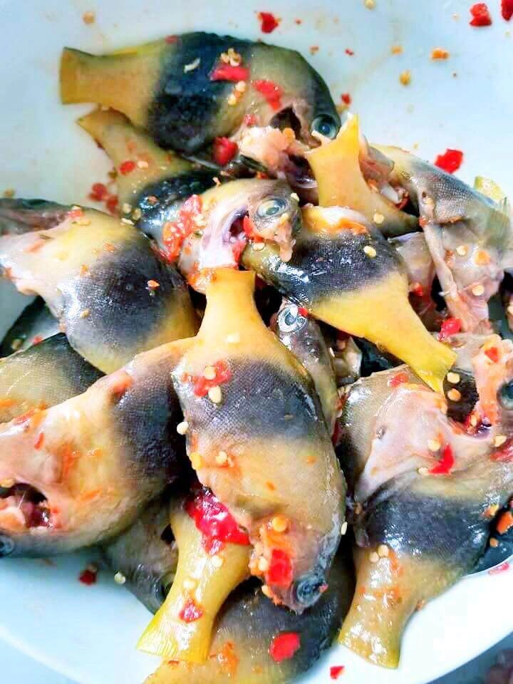 Loài cá tên kỳ quặc chỉ có ở nha trang giá cao ngất ngưởng vẫn cháy hàng liên tục nhờ vị ngon hiếm có - 3