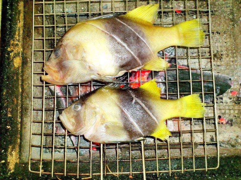 Loài cá tên kỳ quặc chỉ có ở nha trang giá cao ngất ngưởng vẫn cháy hàng liên tục nhờ vị ngon hiếm có - 4