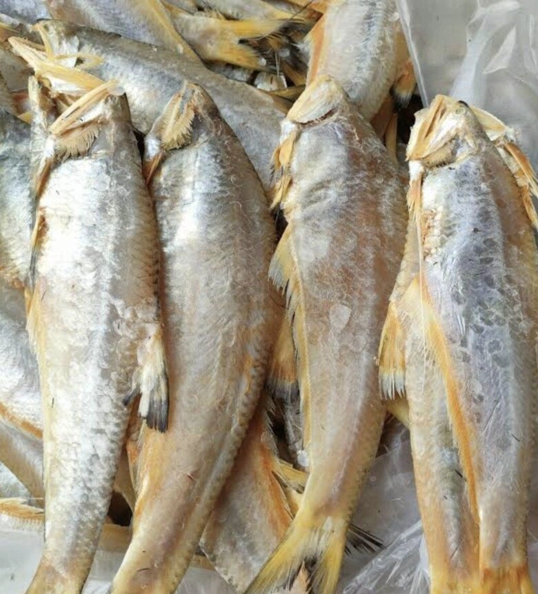 Loài cá xưa chả ai thèm để cho lợn ăn giờ thành đặc sản nổi tiếng một vùng phơi khô bán mắc gấp 10 lần cá tươi - 3
