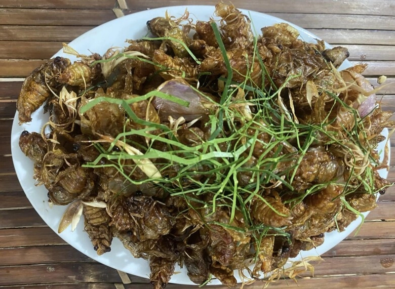 Loại côn trùng khiến nhiều người rùng mình bất ngờ thành đặc sản được nhà giàu săn lùng giá 600000 đồngkg vẫn có người mua - 2