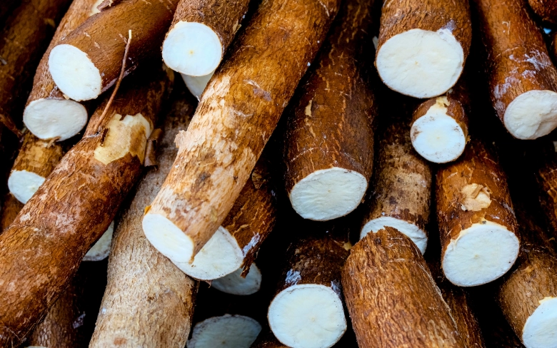 Loại củ rẻ như cho xưa để dân nghèo chống đói nay được chế biến thành nhiều món ngon nức tiếng đặc sản nhiều nơi - 1