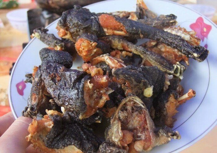Loài đặc sản có vẻ ngoài kì dị chỉ có ở lạng sơn xưa chỉ dùng để tiến vua nay hiếm có đến mức phải bảo tồn - 4