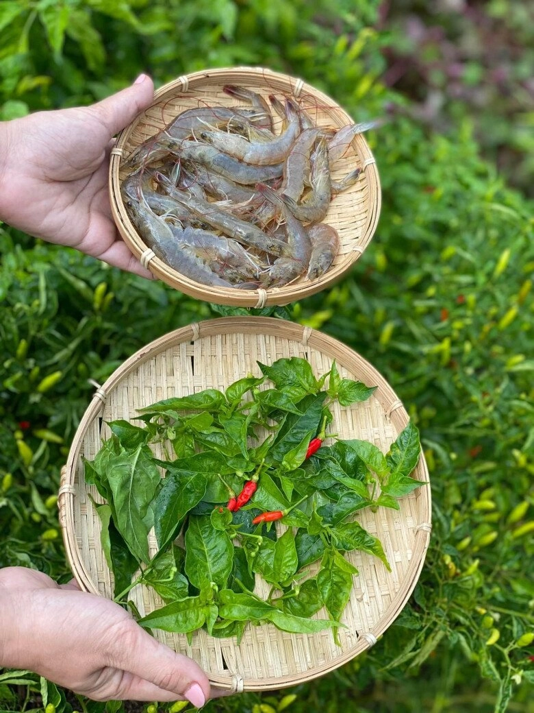Loại lá toả mùi thơm đặc biệt xưa rụng đầy không ai ngó ngàng nay thành món đặc sản khoái khẩu ai cũng mê - 3