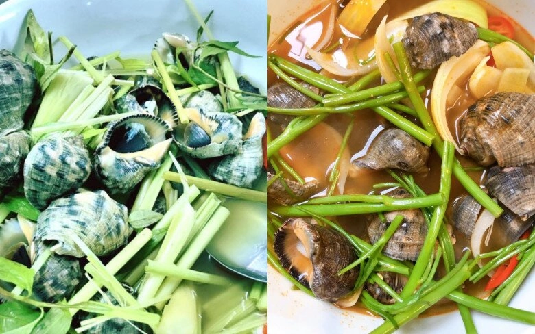 Loài ốc có tên của một loại gia vị quen thuộc hình thù kỳ lạ ít ai biết chỉ hấp thôi đã thành món ngon hết sẩy - 3