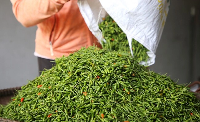 Loại quả có tên lạ xưa không ai biết đến giờ thành đặc sản có hương vị đặc biệt dân thành phố ưa chuộng - 2
