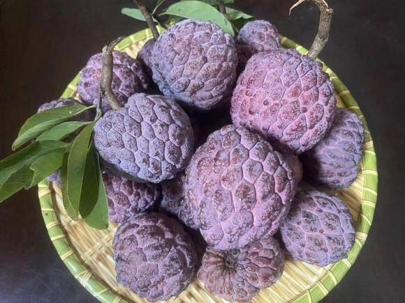 Loại quả có tên rất lạ xưa không ai biết đến nay thành đặc sản có hương vị đặc biệt dân thành phố thích mê - 2