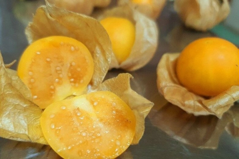 Loại quả dại mọc đầy đường là món vặt tuổi thơ việt lại là siêu trái cây tiền triệu được săn lùng ở nước ngoài giá gần 700000 đồngkg - 2