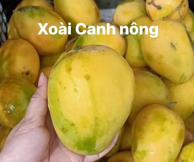 Loại quả quê xưa không ai biết đến nay thành đặc sản nổi tiếng có hương vị đặc biệt dân thành phố ưa chuộng - 1
