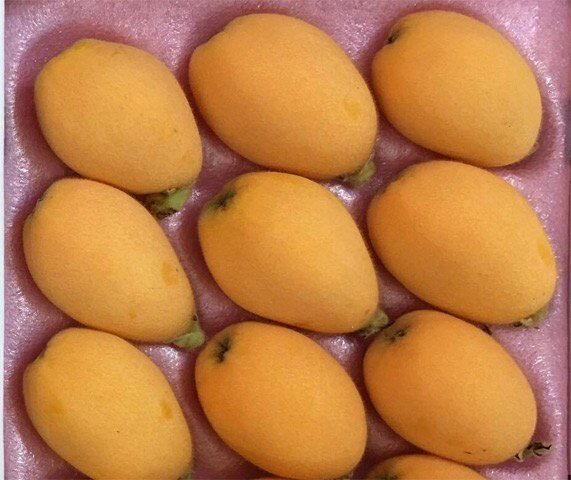 Loại quả xưa ít người biết đến nay thành đặc sản được dân thành phố tranh nhau mua vì hương vị đặc biệt giá đắt đỏ - 3