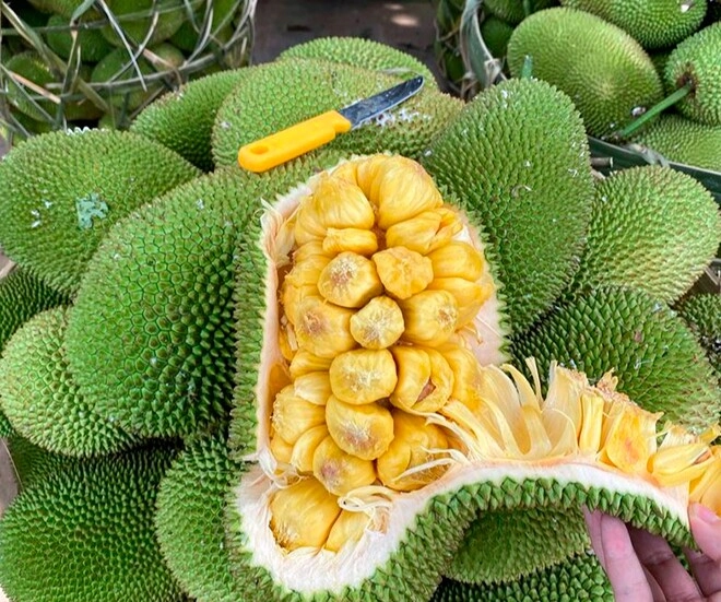 Loại quả xưa không ai biết đến giá rẻ như cho nay thành đặc sản nổi tiếng có hương vị lạ dân thành phố ưa chuộng - 2