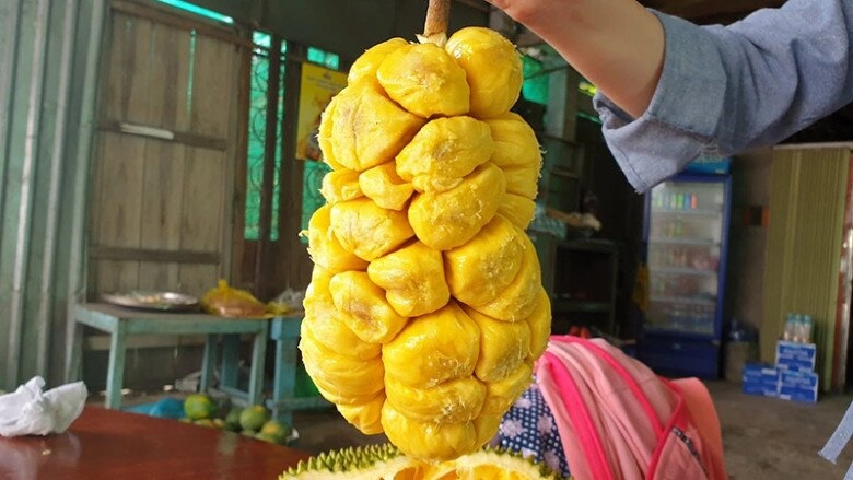 Loại quả xưa không ai biết đến giá rẻ như cho nay thành đặc sản nổi tiếng có hương vị lạ dân thành phố ưa chuộng - 3
