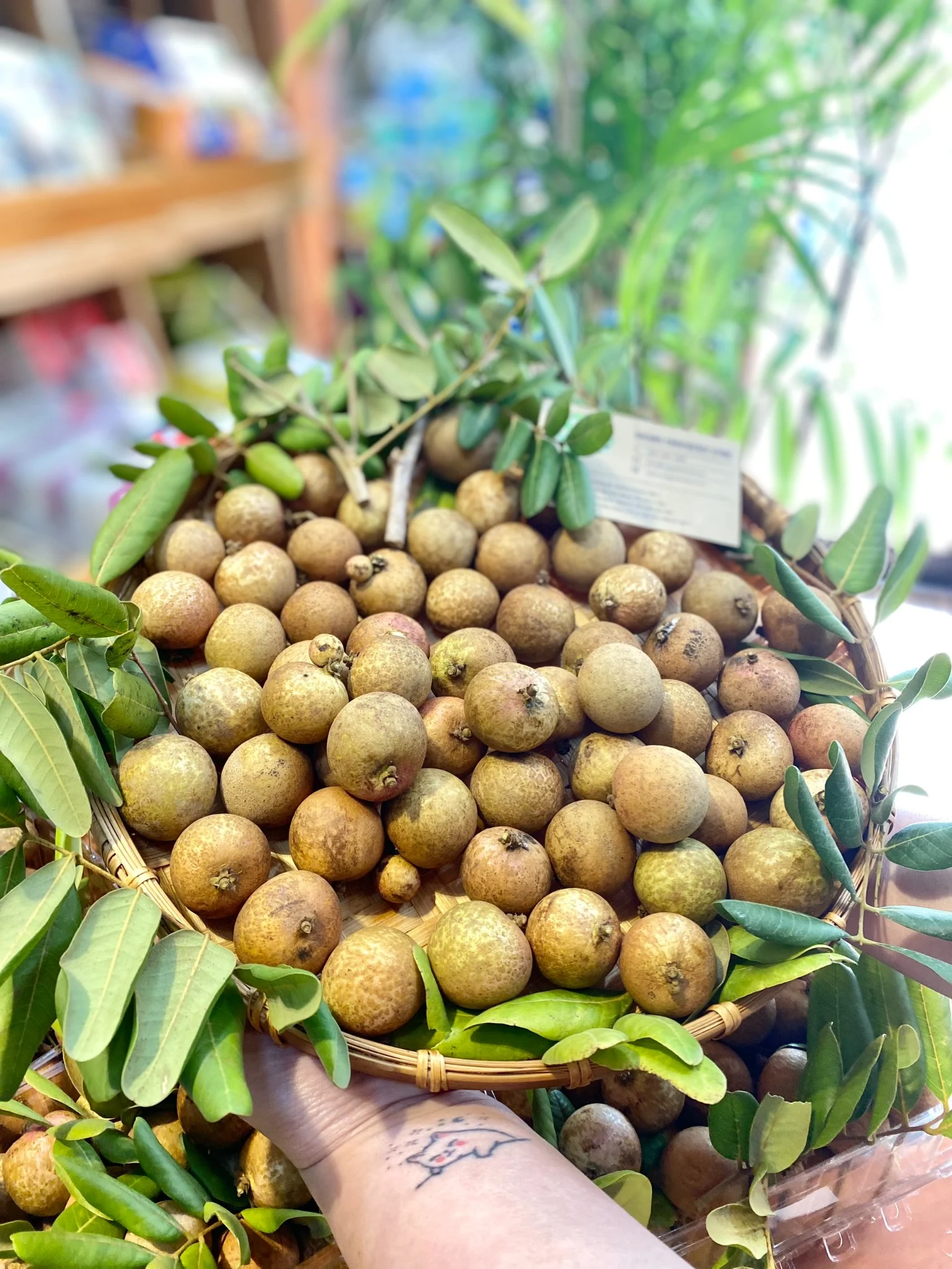 Loại quả xưa không ai biết đến nay thành đặc sản có hương vị lạ được ưa chuộng dân thành phố thích mê - 2