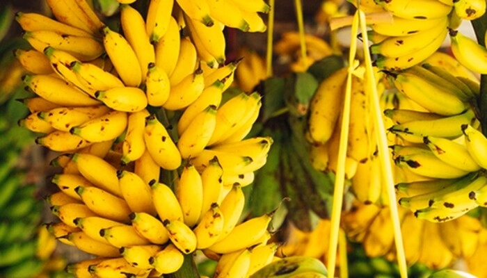 Loại quả xưa không ai biết đến nay thành đặc sản dân thành phố săn lùng dịp tết nguyên đán hương vị đặc biệt - 3
