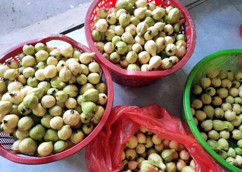 Loại quả xưa không ai biết đến nay thành đặc sản nổi tiếng có hương vị lạ dân thành phố thích mê - 2