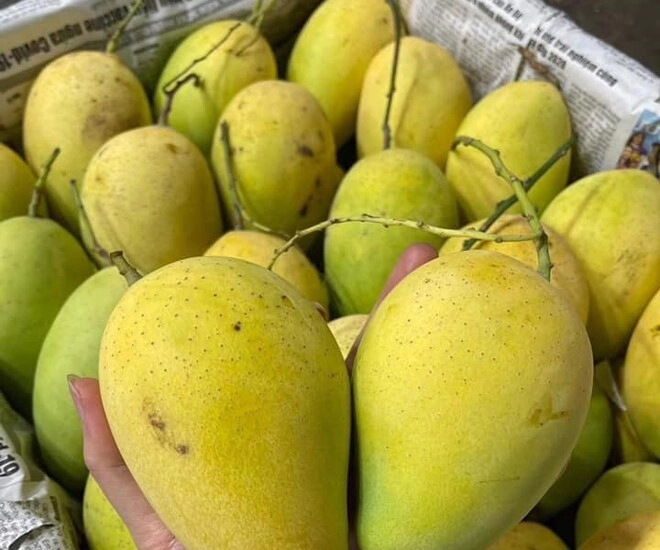 Loài quả xưa không ai biết đến nay thành đặc sản nổi tiếng dân thành phố thích mê hương vị đặc biệt - 1