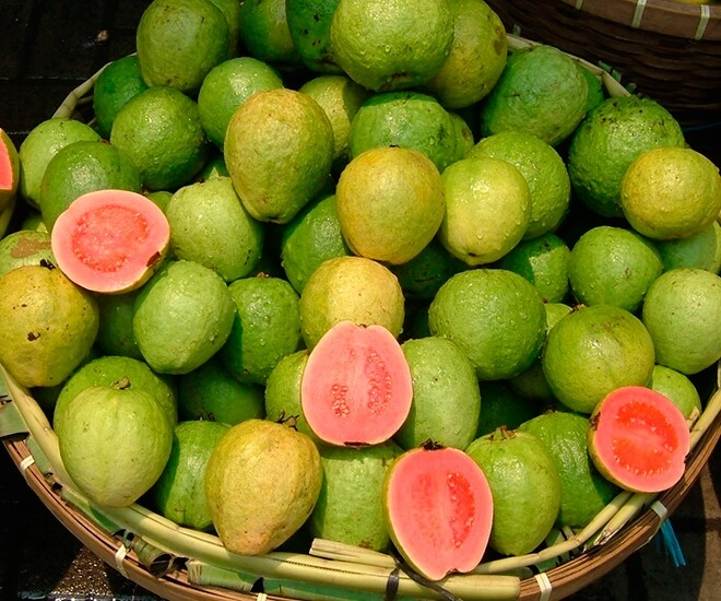 Loại quả xưa không ai ngó ngàng giờ thành đặc sản có mùi thơm đặc biệt dân thành phố săn lùng - 1