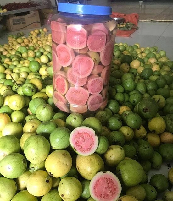 Loại quả xưa không ai ngó ngàng giờ thành đặc sản có mùi thơm đặc biệt dân thành phố săn lùng - 2