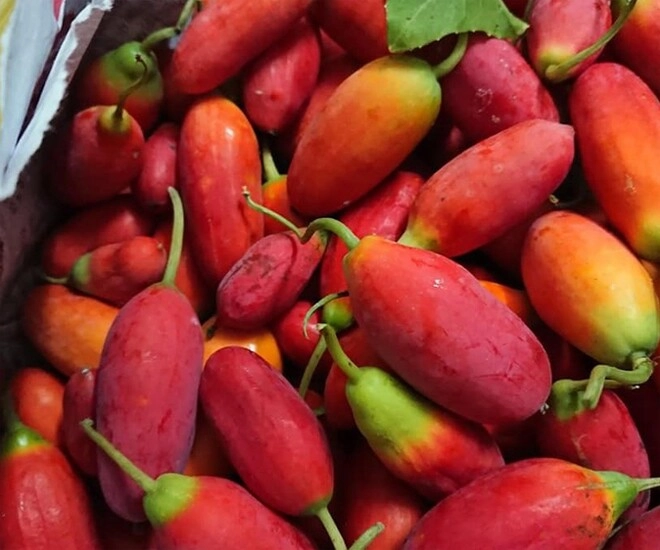 Loại quả xưa rụng đầy không ai biết đến nay thành đặc sản có hương vị lạ được người thành phố ưa chuộng ai ăn cũng mê - 1