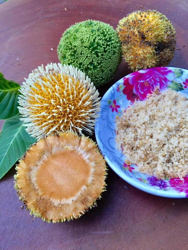 Loại quả xưa rụng đầy không ai biết đến nay thành đặc sản được người thành phố ưa chuộng hương vị lạ lẫm - 4
