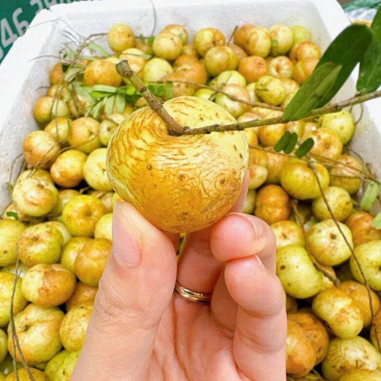Loại quả xưa rụng đầy không ai ngó ngàng nay thành đặc sản có hương vị lạ người thành phố ưa chuộng ai ăn cũng mê - 1