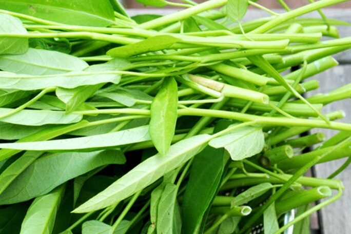 Loại rau vô tâm dành cho người lười không cần chăm cũng tự lớn mẹ nhớ cho con ăn phần thân bỏ lá - 3