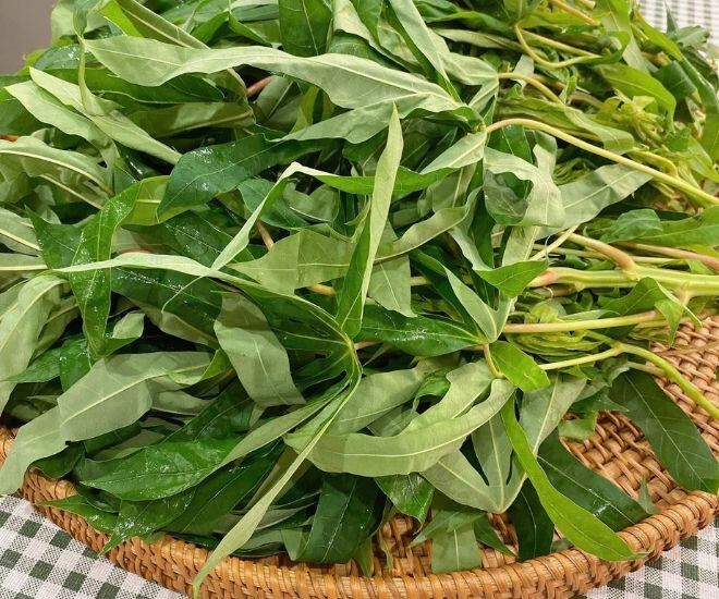 Loại rau xưa chỉ cho lợn ăn nay thành đặc sản phú thọ thử một lần là nhớ da diết vì hương vị cực độc đáo - 1