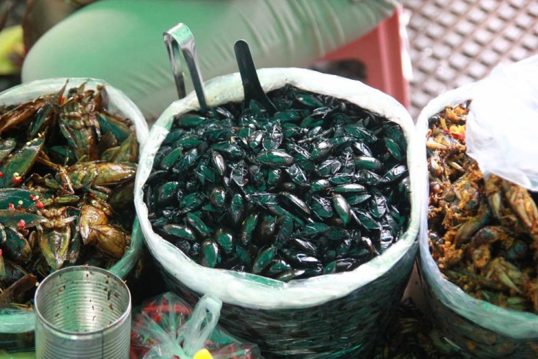 Loài vật bề ngoài y hệt con gián lại là đặc sản chỉ có ở ninh bình ăn một lần là nghiện bởi vị thơm béo khó cưỡng - 3