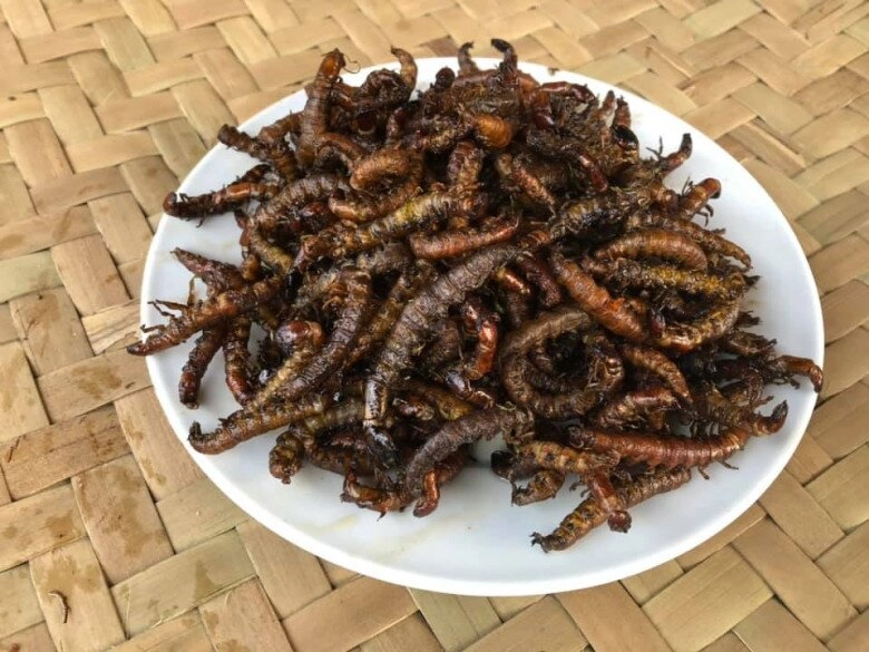 Loài vật khiến ai cũng sợ chết khiếp hóa ra là món ăn biểu tượng vùng tây bắc cực hiếm chỉ dùng để đãi khách quý - 4