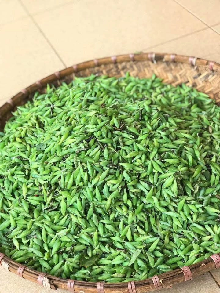 Loài vật khiến nhiều người khóc thét lại là đặc sản chỉ có ở tây nguyên được mệnh danh là tôm rừng vì ăn cực ngọt béo - 3