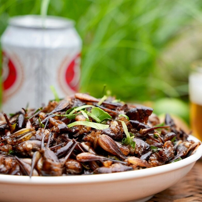 Loài vật khiến nhiều người rợn tóc gáy lại là đặc sản sơn la chỉ người sành ăn thì thấy ngon còn không chạy mất dép - 4