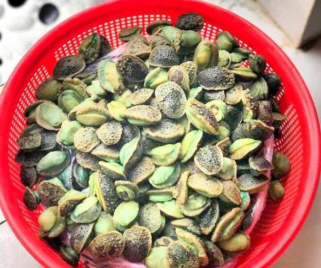 Loài vật nghe tên đã thấy hung dữ chỉ có ở thanh hóa chế biến được thành món ăn ngon xuất sắc giá đến 160000 đồngkg - 1