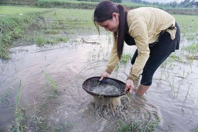 Loài vật nhìn nổi da gà lại là đặc sản ở thanh hóa chuyên dùng đãi khách quý - 2