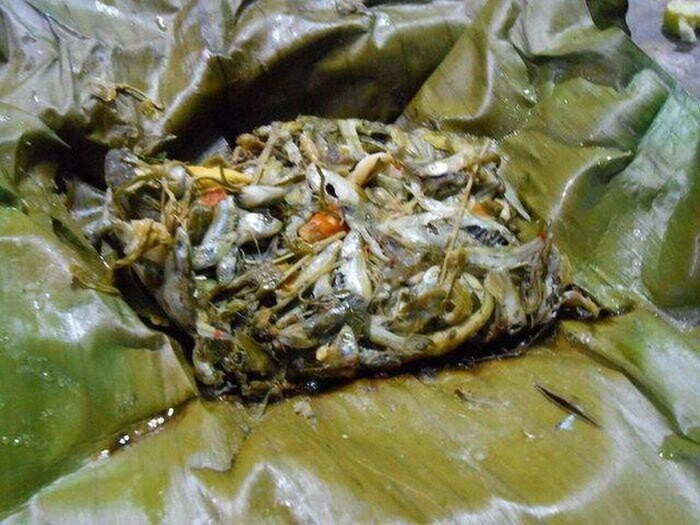 Loài vật nhìn nổi da gà lại là đặc sản ở thanh hóa chuyên dùng đãi khách quý - 5