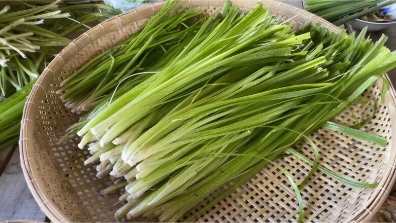 lộc trời ban xưa chỉ bỏ đi giờ thành đặc sản bán giá cắt cổ vẫn có ào ạt người mua - 1