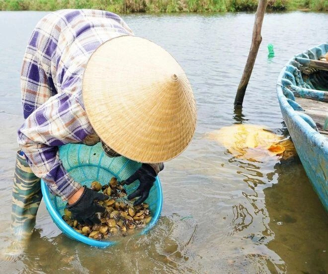 lộc trời từ dưới bùn được mệnh danh là vàng đen vị ngọt gây nghiện mà còn cực bổ dưỡng - 1