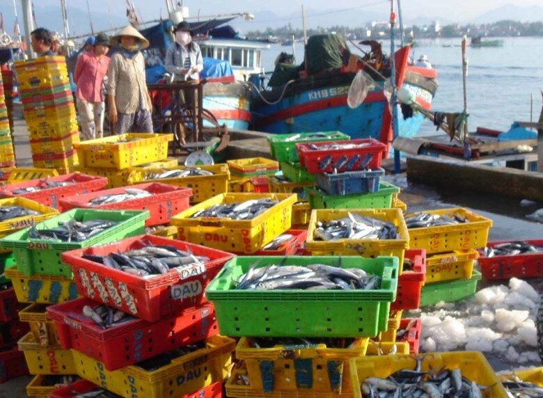 Mách bạn khu chợ bán hải sản rẻ nhất nha trang khách tây cũng mê tít vì trải nghiệm có một không hai - 1