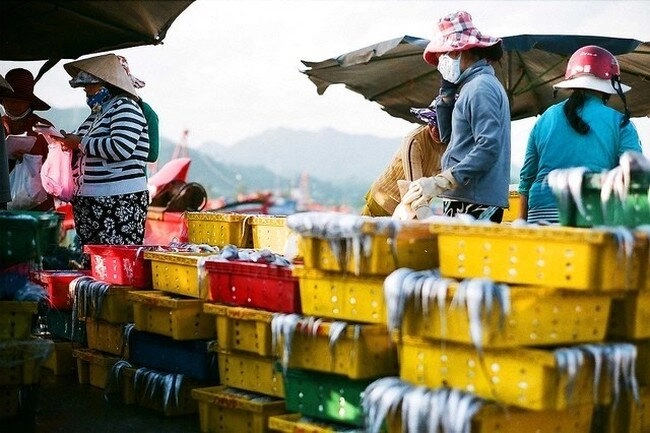 Mách bạn khu chợ bán hải sản rẻ nhất nha trang khách tây cũng mê tít vì trải nghiệm có một không hai - 2