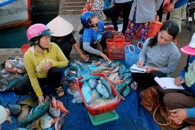Mách bạn khu chợ hải sản sầm uất nhất đảo phú quý ai cũng đóng mấy thùng về làm quà - 1