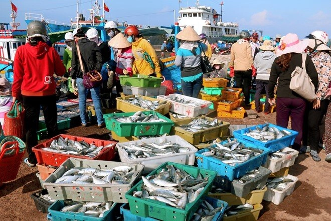Mách bạn khu chợ hải sản sầm uất nhất đảo phú quý ai cũng đóng mấy thùng về làm quà - 2