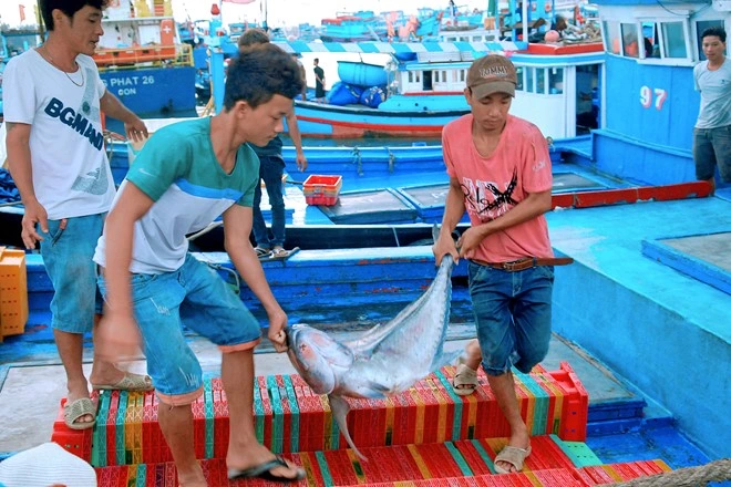 Mách bạn khu chợ hải sản sầm uất nhất đảo phú quý ai cũng đóng mấy thùng về làm quà - 3