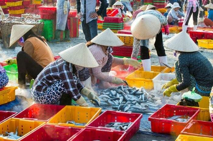 Mách bạn khu chợ hải sản sầm uất nhất đảo phú quý ai cũng đóng mấy thùng về làm quà - 4