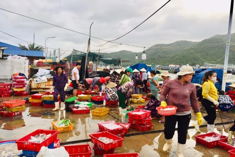 Mách bạn khu chợ là vựa hải sản lớn nhất nha trang muốn mua phải đi từ 3 giờ sáng - 2