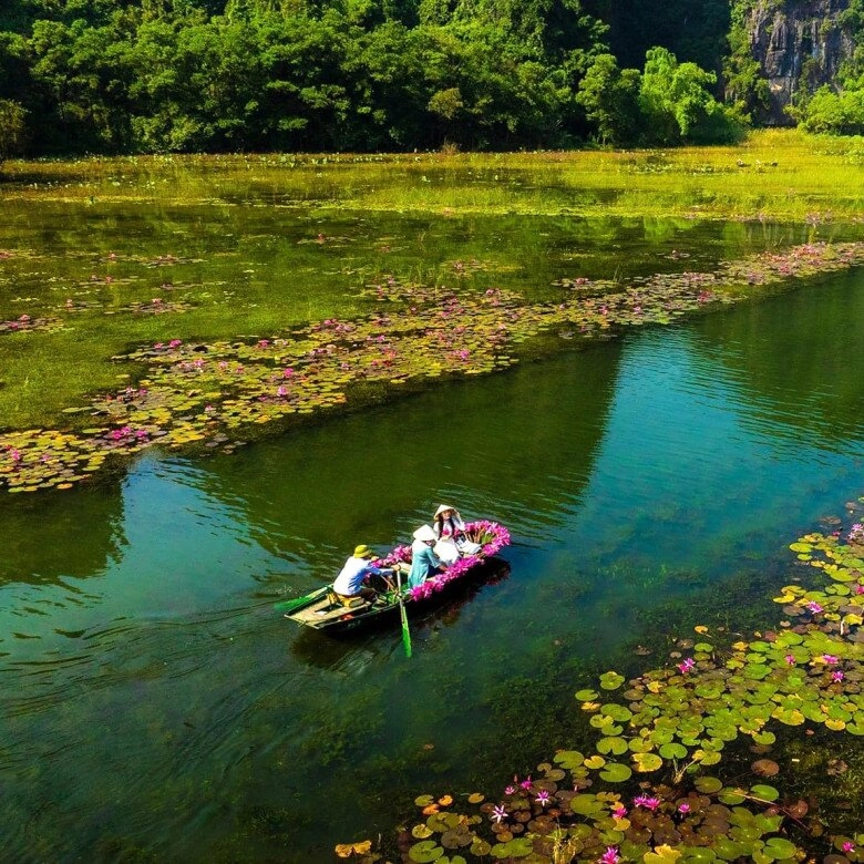 Mê mẩn tam cốc mùa hoa súng nở rộ say mê quên lối về với danh lắm thắng cảnh món ngon vùng cố đô - 3