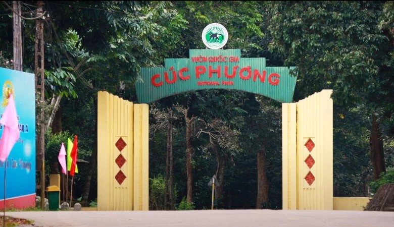 Mê mẩn tam cốc mùa hoa súng nở rộ say mê quên lối về với danh lắm thắng cảnh món ngon vùng cố đô - 5