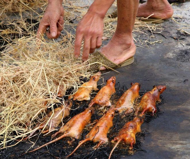 Miền tây và những món đặc sản kinh dị khiến người yếu vía chạy mất dép nhưng ngọc trinh mê như điếu đổ - 1