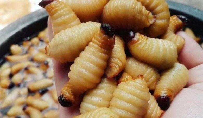 Miền tây và những món đặc sản kinh dị khiến người yếu vía chạy mất dép nhưng ngọc trinh mê như điếu đổ - 6