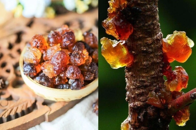 Món ăn được ví là tổ yến của người nghèo giúp da đẹp từ gốc tốt như đắp 30 chiếc mặt nạ liệu có thật - 1