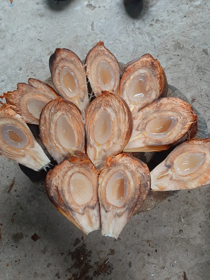 Món ngon miền tây từ cây mọc hoang ven kênh rạch trái chi chít mọc ép sát nhau - 4