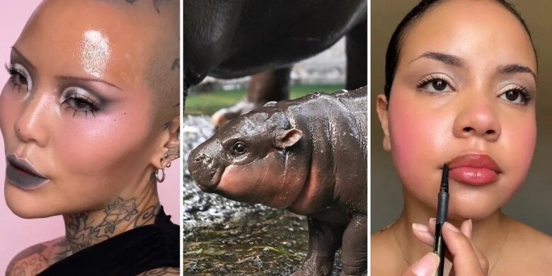 Moo deng makeup xu hướng trang điểm giống chú hà mã đang viral từ âu sang á báo hiệu hot trend năm nay - 2